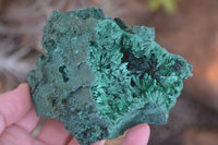 Natural Chatoyant Silky Malachite Specimens  x 6 From Kasompe, Congo