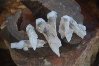 Natural Drusy Quartz Coated Calcite Spearhead Crystal Specimens  x 12 From Alberts Mountain, Lesotho - Toprock Gemstones and Minerals 