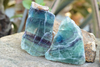 Polished One Side Polished Watermelon Fluorite Specimens  x 6 From Uis, Namibia - TopRock