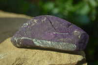 Polished Silky Purpurite Free Forms  x 12 From Namibia - TopRock