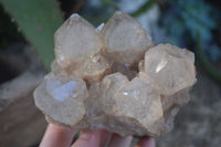 Natural Cascading White Phantom Smokey Quartz Clusters  x 3 From Luena, Congo - Toprock Gemstones and Minerals 