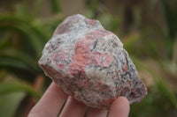 Natural Rough Red Rhodonite Specimens  x 6 From Zimbabwe - TopRock