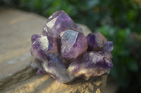 Natural Dark Purple Amethyst Crystal Clusters  x 6 From Zambia - Toprock Gemstones and Minerals 