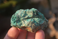 Natural Blue Shattuckite Specimens x 12 From Kaokoveld, Namibia