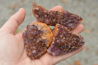 Natural Dark "Amethystos" Amethyst Clusters  x 12 From Kwaggafontein, South Africa - TopRock