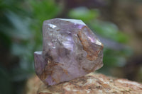 Natural New Window Amethyst Crystals  x 12 From KZN, South Africa - Toprock Gemstones and Minerals 