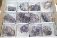 Natural Dark Amethyst Crystal Clusters x 12 From Zambia