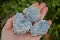 Natural Blue Celestite Crystal Specimens  x 7 From Sakoany, Madagascar