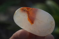 Polished Carnelian Agate Palm Stones  x 12 From Madagascar - Toprock Gemstones and Minerals 