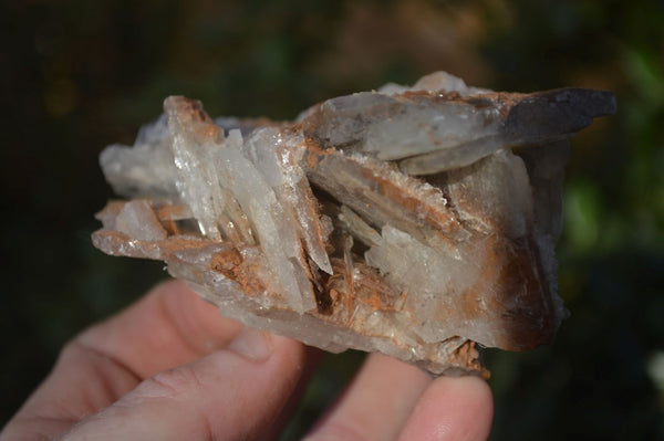 Natural Rare Bladed Barite Specimens x 3 From Congo