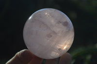 Polished Rare Star Rose Quartz Spheres  x 6 From Ambatondrazaka, Madagascar - Toprock Gemstones and Minerals 