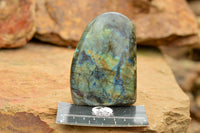 Polished Labradorite Standing Free Forms With Intense Blue & Gold Flash x 3 From Tulear, Madagascar - TopRock