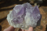 Natural Jacaranda Amethyst Clusters  x 3 From Mumbwa, Zambia - Toprock Gemstones and Minerals 