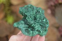 Natural Chatoyant Silky Malachite Specimens  x 3 From Congo