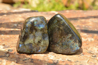 Polished Blue Flash Labradorite Standing Free Forms  x 4 From Tulear, Madagascar - TopRock