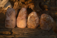 Polished Ocean Flower Agate Standing Free Forms  x 4 From Madagascar