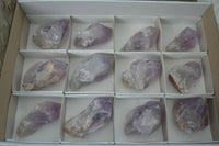 Natural Large Single Jacaranda Amethyst Crystals  x 12 From Mumbwa, Zambia - Toprock Gemstones and Minerals 