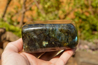 Polished Labradorite Standing Free Forms With Blue & Gold Flash  x 2 From Tulear, Madagascar - TopRock