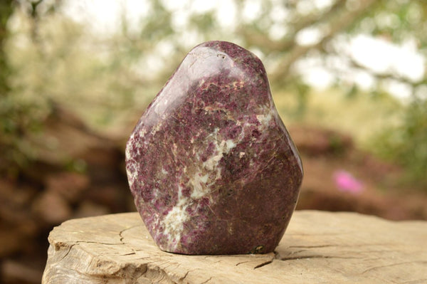 Polished Large Pink Rubellite Tourmaline Standing Free Form x 1 From Ambatondrazaka, Madagascar - TopRock