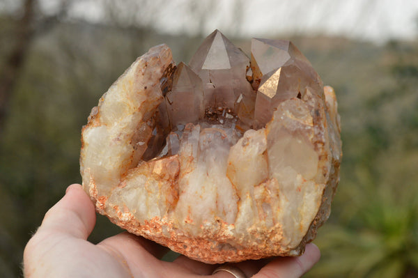 Natural Red Hematoid Phantom Quartz Clusters  x 3 From Karoi, Zimbabwe - TopRock