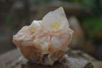 Natural Mixed Spirit Quartz Clusters  x 12 From Boekenhouthoek, South Africa - Toprock Gemstones and Minerals 