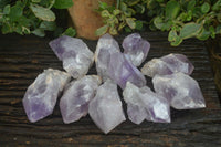 Natural Large Single Jacaranda Amethyst Crystals  x 12 From Mumbwa, Zambia - Toprock Gemstones and Minerals 