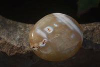 Polished Carnelian Agate Palm Stones  x 12 From Madagascar - Toprock Gemstones and Minerals 