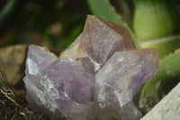 Natural Jacaranda Amethyst Clusters  x 3 From Mumbwa, Zambia - Toprock Gemstones and Minerals 