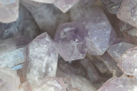 Natural Jacaranda Amethyst Cluster x 1 From Mumbwa, Zambia - TopRock