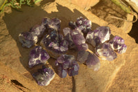 Natural Dark Amethyst Crystal Clusters x 12 From Zambia