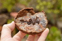 Natural Amethyst & Basalt Geode Specimens  x 12 From Zululand, South Africa - TopRock