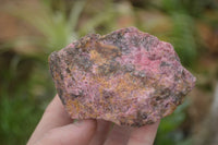 Natural Rough Red Rhodonite Specimens  x 6 From Zimbabwe - TopRock