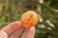 Polished Mini Carnelian Agate Palm Stones  x 35 From Madagascar - TopRock