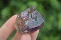 Natural New Window Amethyst Crystals  x 12 From KZN, South Africa - Toprock Gemstones and Minerals 