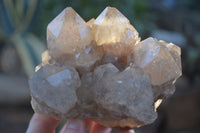 Natural Cascading White Phantom Smokey Quartz Clusters  x 3 From Luena, Congo - Toprock Gemstones and Minerals 