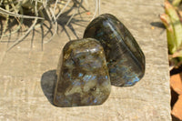 Polished Blue Flash Labradorite Standing Free Forms  x 4 From Tulear, Madagascar - TopRock