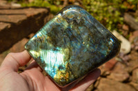 Polished Labradorite Standing Free Forms With Blue & Gold Flash  x 2 From Tulear, Madagascar - TopRock