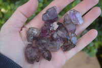 Natural Mini Smokey Amethyst Crystals  x 70 From Chiredzi, Zimbabwe - Toprock Gemstones and Minerals 