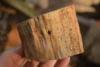 Polished  One Sided Petrified Wood Branch Segments x 2 From Gokwe, Zimbabwe - Toprock Gemstones and Minerals 