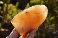 Polished Semi Translucent Dendritic Agate Standing Free Forms  x 2 From Moralambo, Madagascar - TopRock