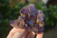 Natural Dark Purple Amethyst Crystal Clusters  x 6 From Zambia - Toprock Gemstones and Minerals 