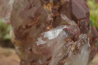 Natural Large Red Hematoid Phantom Quartz Cluster  x 1 From Karoi, Zimbabwe - TopRock