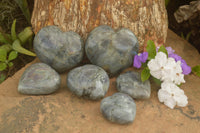 Polished Purple Flash Labradorite Hearts x 6 From Tulear, Madagascar - TopRock