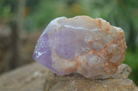 Natural Single Jacaranda Amethyst Crystals  x 6 From Mumbwa, Zambia - Toprock Gemstones and Minerals 