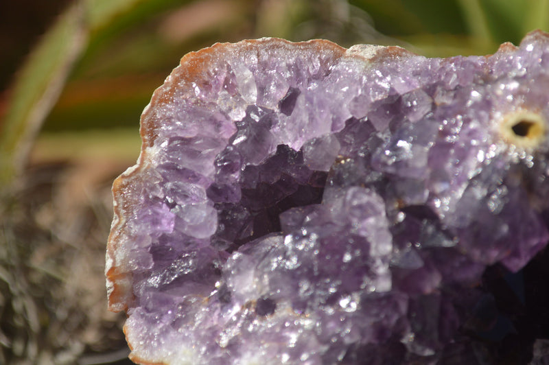 Natural Crystal Centred Amethyst Geode Specimens x 4 From Zululand