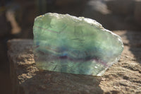 Polished Watermelon Fluorite Slices  x 6 From Uis, Namibia