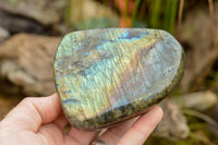 Polished Labradorite Standing Free Forms With Intense Blue & Gold Flash x 3 From Tulear, Madagascar - TopRock