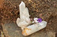 Natural Single Large Quartz Crystals  x 2 From Mandrosonoro, Madagascar - TopRock