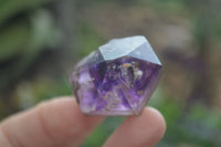 Natural New Window Amethyst Crystals  x 12 From KZN, South Africa - Toprock Gemstones and Minerals 