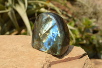 Polished Blue Flash Labradorite Standing Free Forms  x 4 From Tulear, Madagascar - TopRock